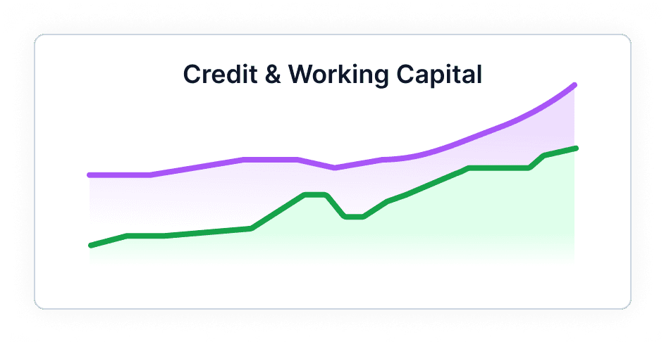 Credit and working capital analysis dashboard
